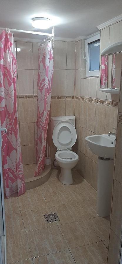 קוסטינסטי Pensiunea Albatros מראה חיצוני תמונה